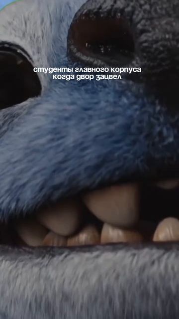 Время, когда главный корпус цветет и пахнет