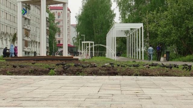 Свыше 66 тысяч человек уже проголосовали за объекты благоустройства на 2026 год в рамках проекта «Фо