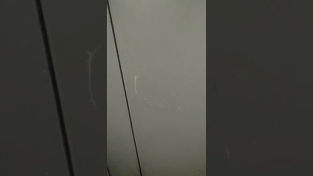 Наставников 28к1