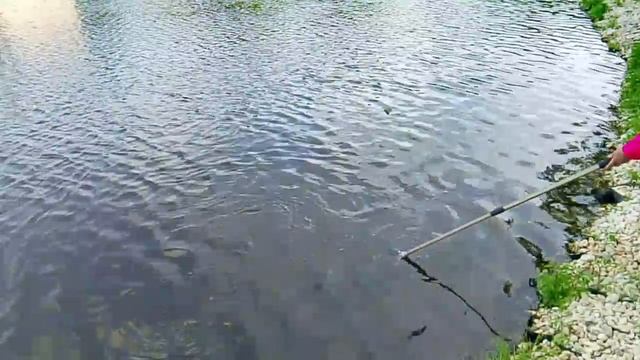 1000071746.mp4