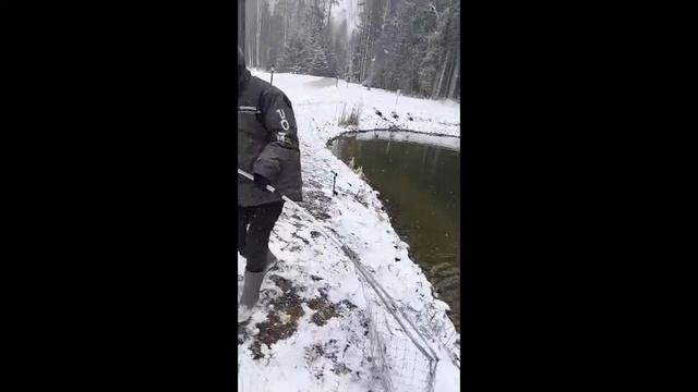 Поймал Форель я и мой брат