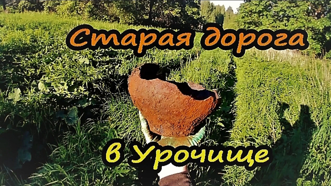 Тайны Урочища: что скрывает старая дорога?