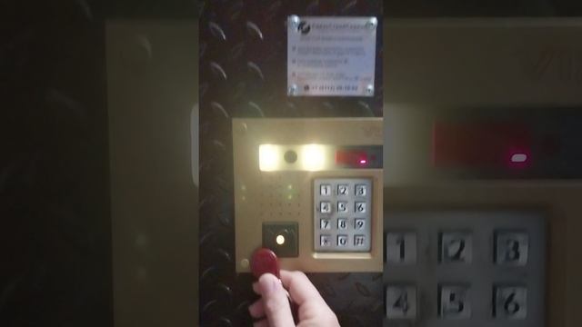 1000033411.mp4