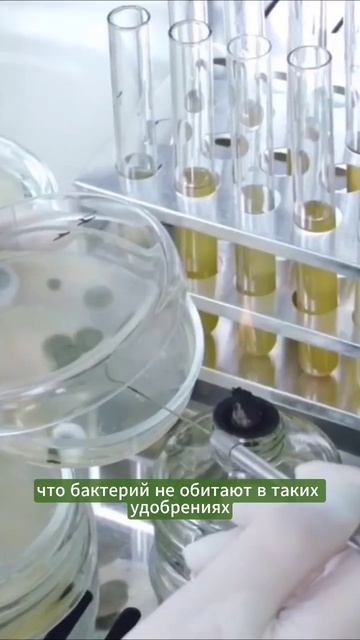 Лучший метод удобрений в мире. #огород #удобрения #земледелие