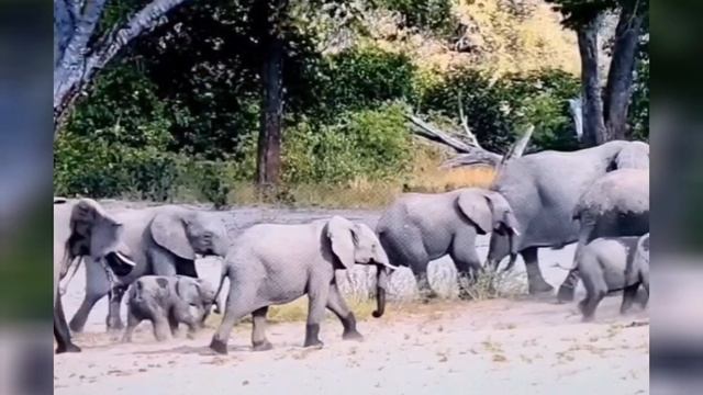 Пою Жемчужный пруд Автор стихи Мэри Сказ Музыка Андрея Обидена 👏👏👏