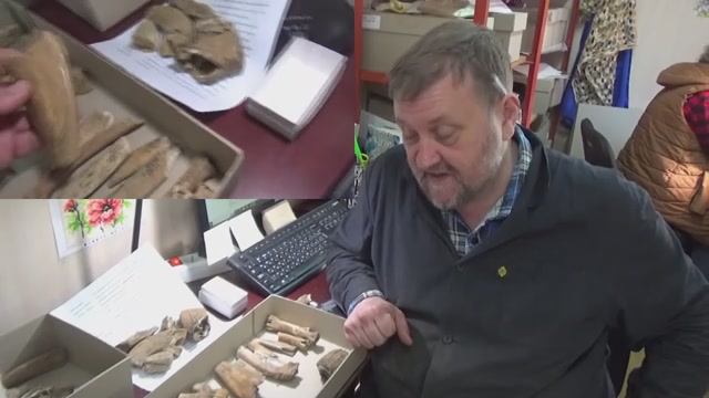 Мастерская кожевника и костореза из раскопа по пер. Красноармейский