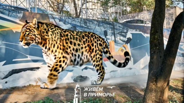 Знаете, где во Владивостоке можно встретить леопарда?