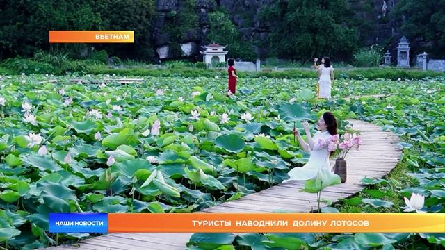 Туристы  наводнили долину лотосов