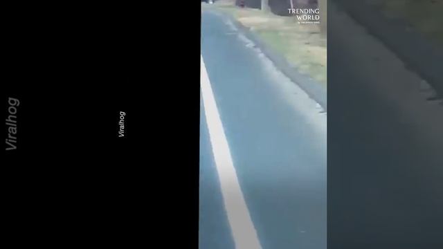 VID_20250609_152511_636.mp4