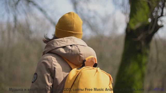 Леса танцуют в такт каждой новой ноте - Where Life Goes (Man Kid Remix) -- Daniel Birch -- Stargazin
