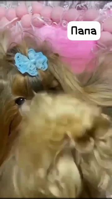 1000262000.mp4