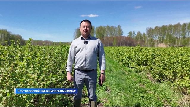 Поддержку фермерским хозяйствам оказывает Правительство Тюменской области