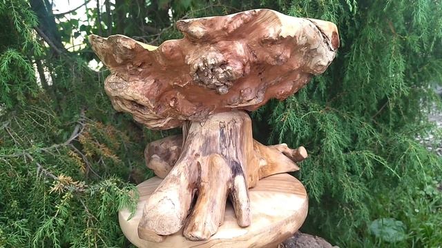 VID_20250609_182014(0)(0).mp4