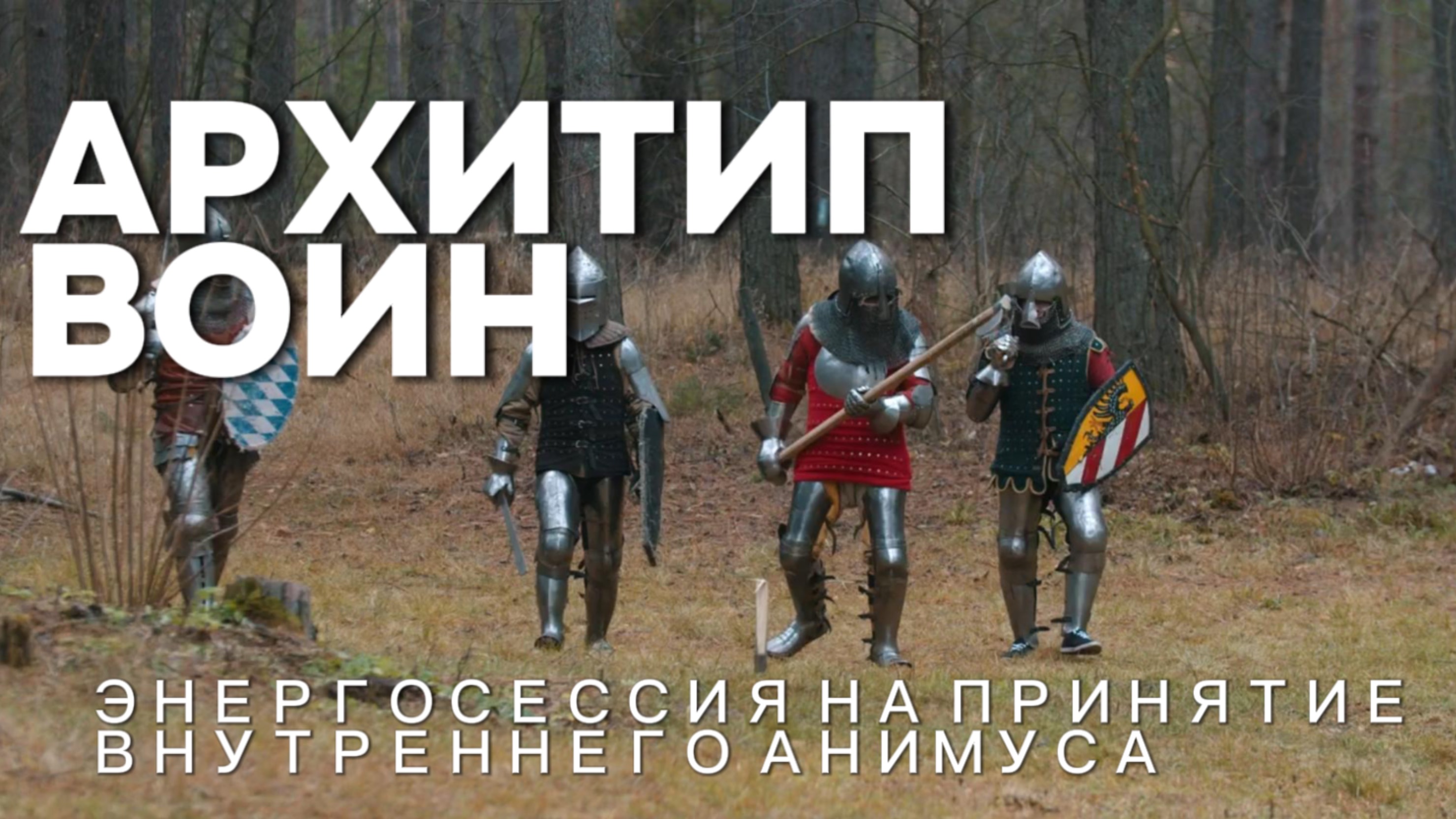ЭНЕРГОСЕССИЯ НА АРХИТИП АНИМУСА ПО ЮНГУ "ВОИН"