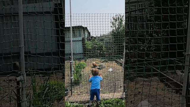 Маленький помощник