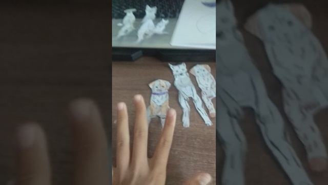 Распаковка! Снова? ДА! Помогите придумать имена собачкам