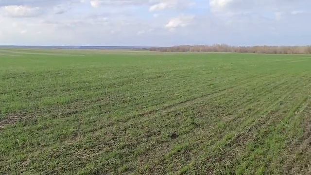 Земельный участок 110 ГА, в Михайловском р-не