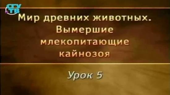 Вымершие млекопитающие # 5. Многообразие вымерших хищников