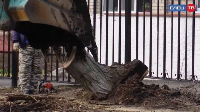На улице Ани Гайтеровой начали ремонт тротуара