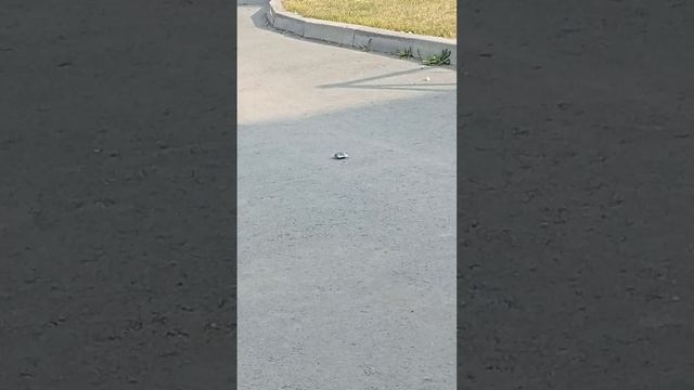 взрываем гранату