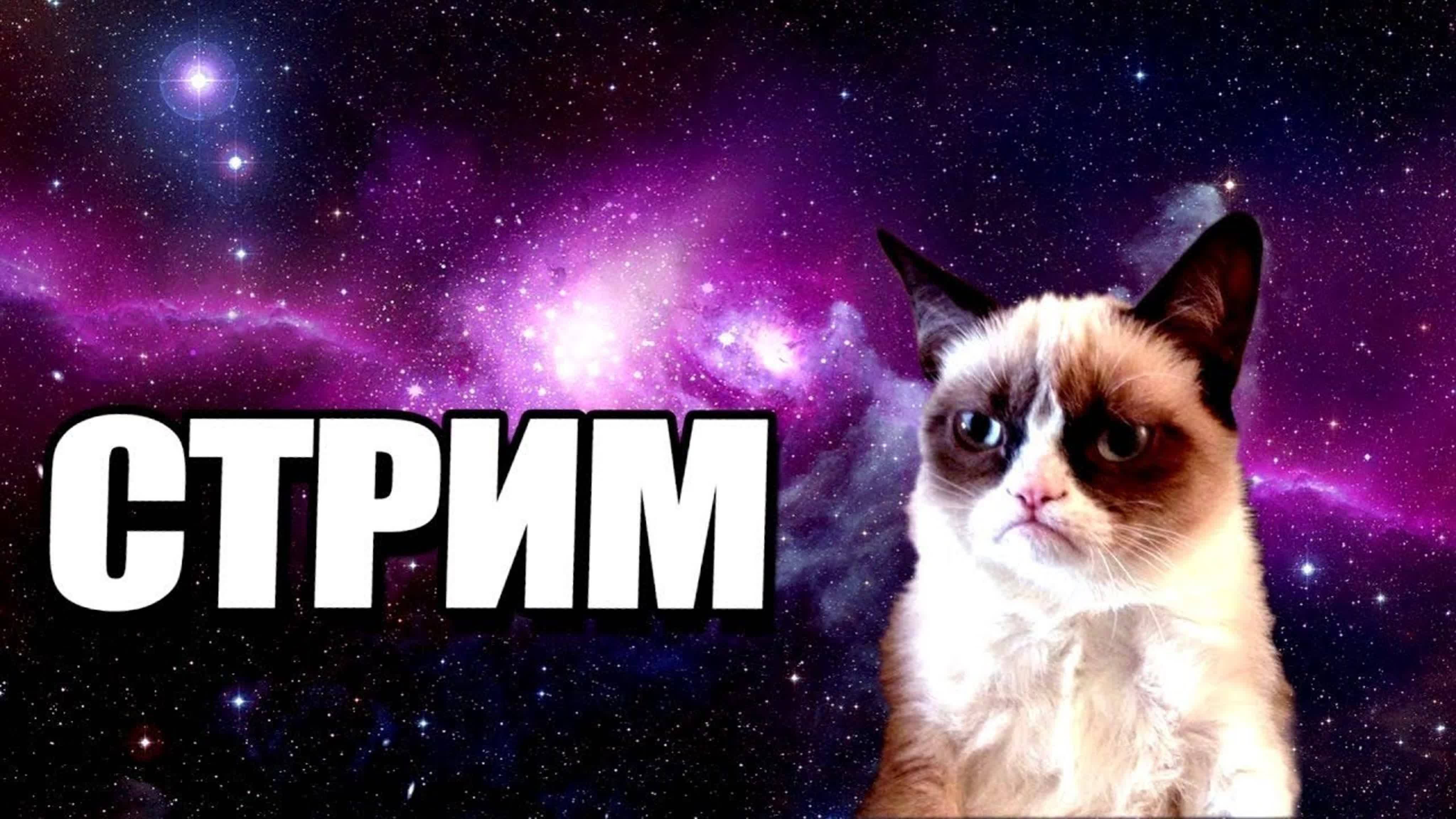СТРИМ !!!!!! играем в мертвые рельсы