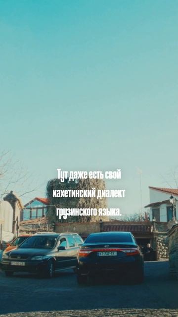 Регион, в котором есть все #грузия #путешествия #туризм #история #travel
