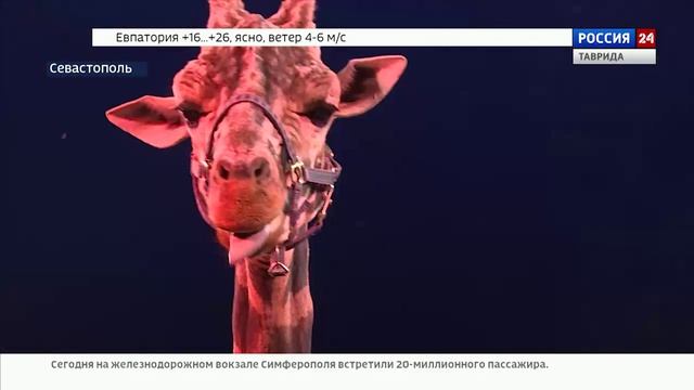 ВЕСТИ КРЫМ: выпуск 10.06.2025 17:30