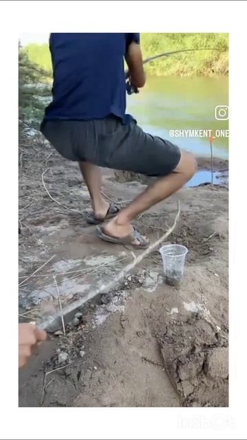 scene_output.mp4