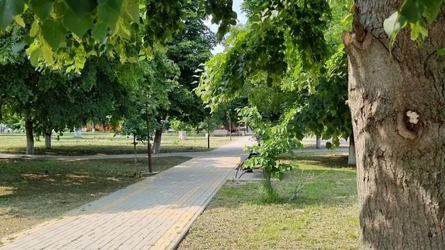 Иду с документами в МФЦ. Прогулка по  нашему  парку.