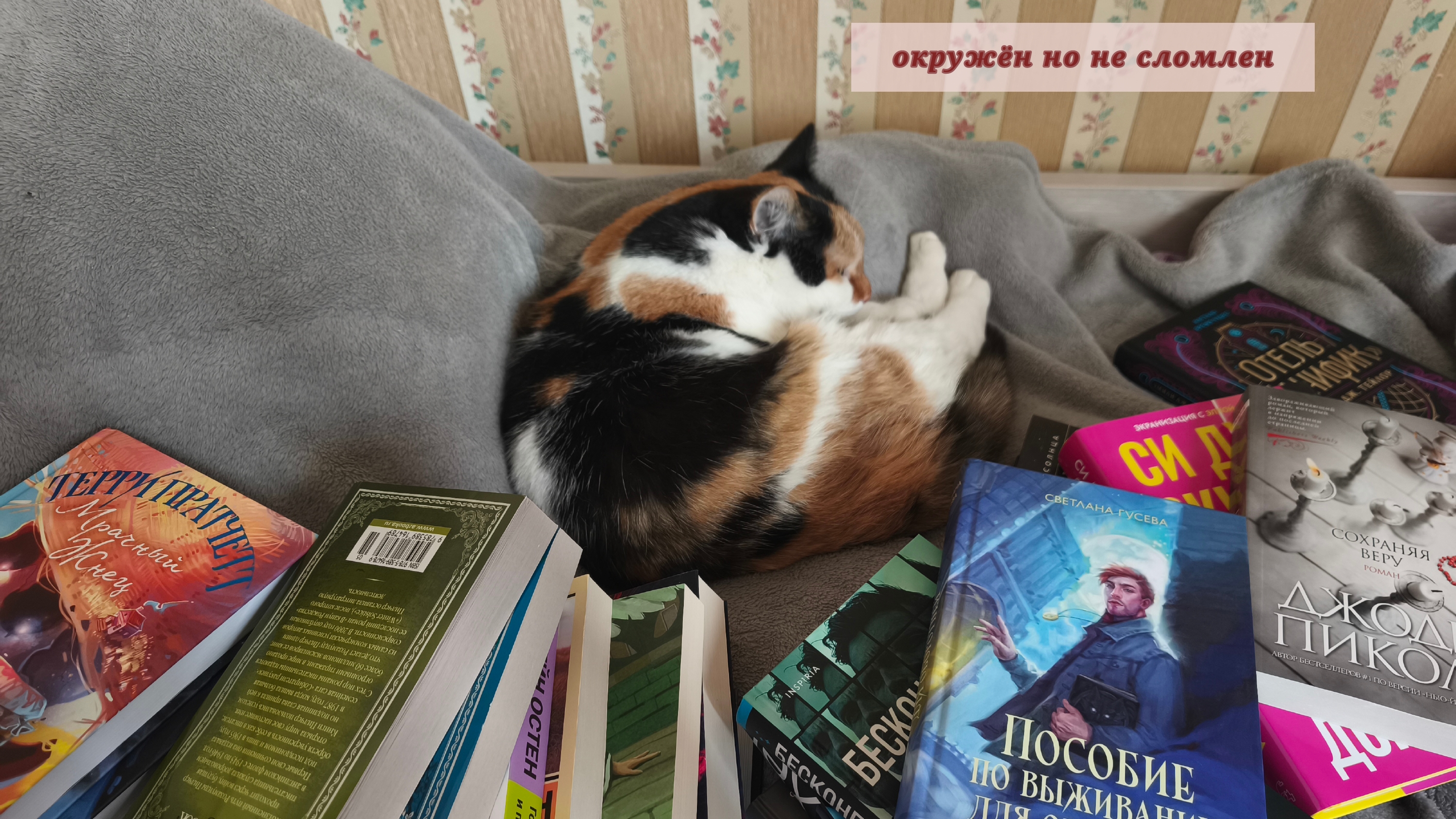 улов с книжной ярмарки || книг все больше, а места все меньше