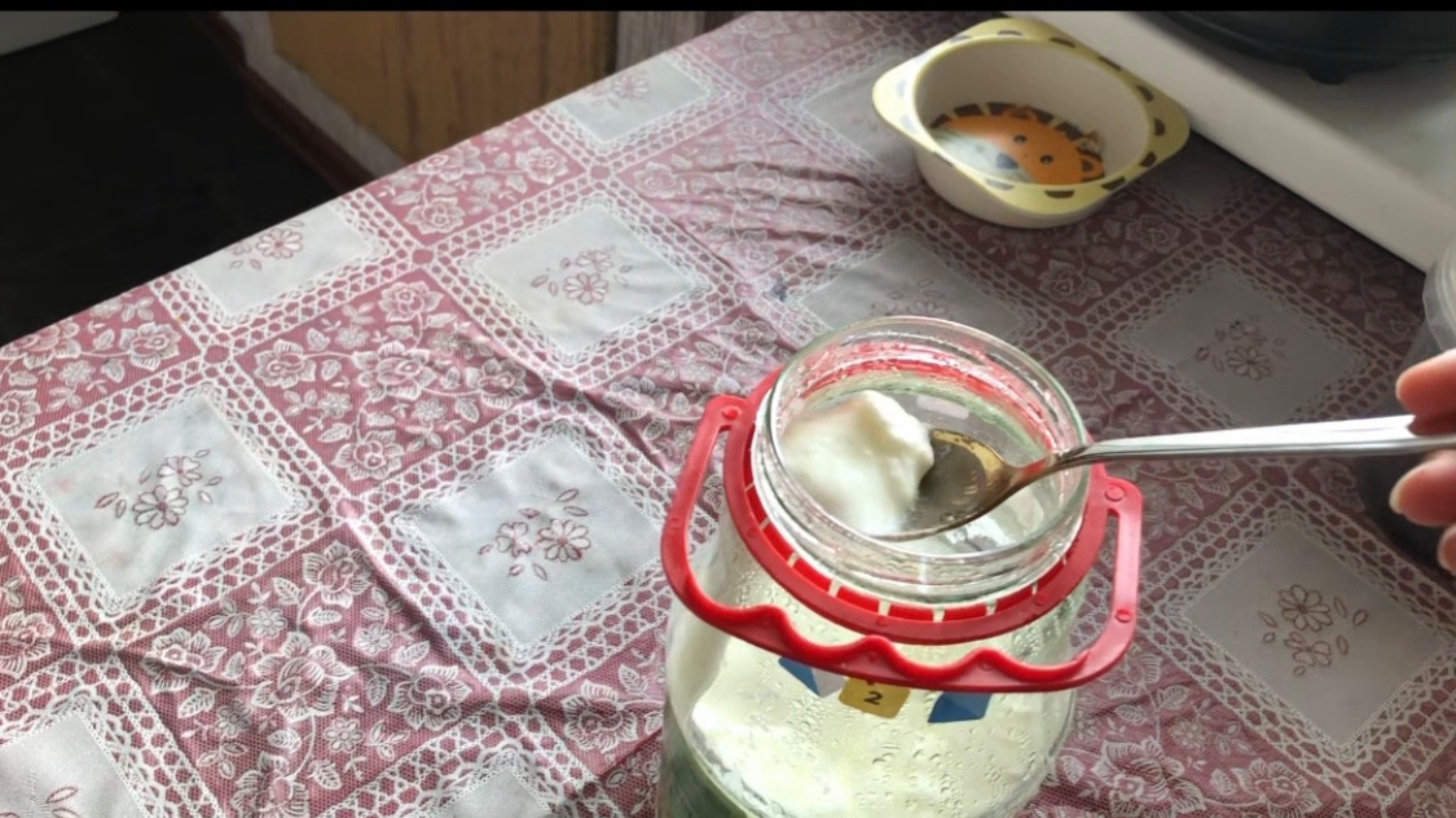 Готовим Йогурт