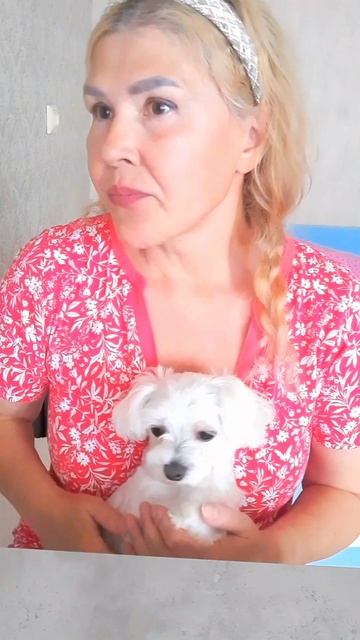 Успокоилась размышлениями