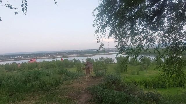 Набережная Зелёный берег .Сквер  Космонавтов .Красноярск