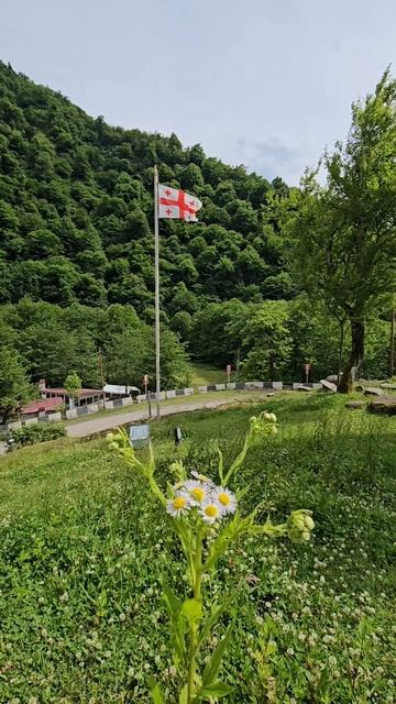 Грузия 🇬🇪