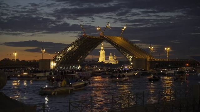 Развод Дворцового моста (Санкт-Петербург)