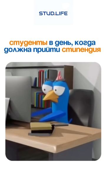 Студенты 5 числа би лайк: