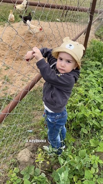 Начался дачный сезон, тут назрел вопрос 🤔