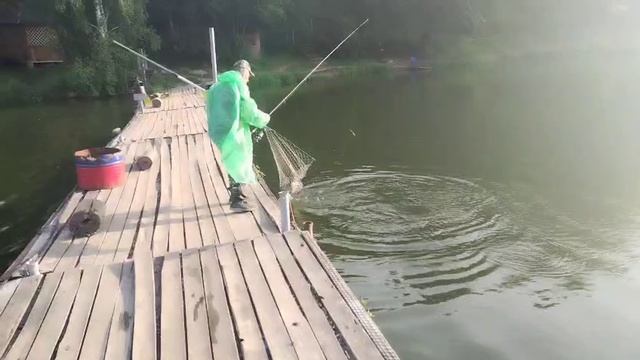 Утро