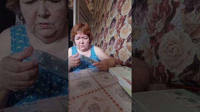 VID-20250610-WA0005.mp4