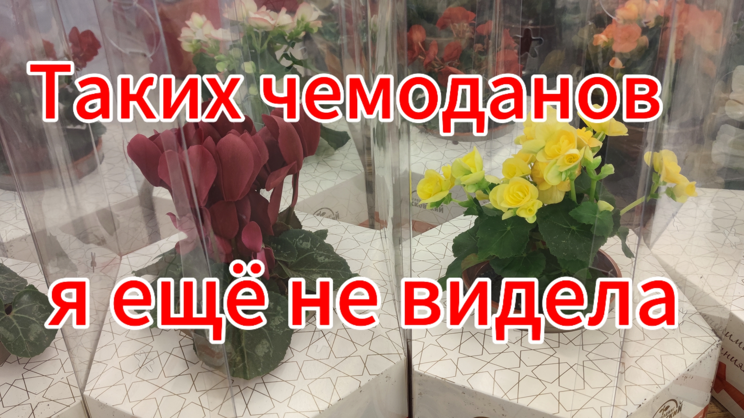 Умный чемодан!! Таких чемоданов я ещё не видела. М-н Окей