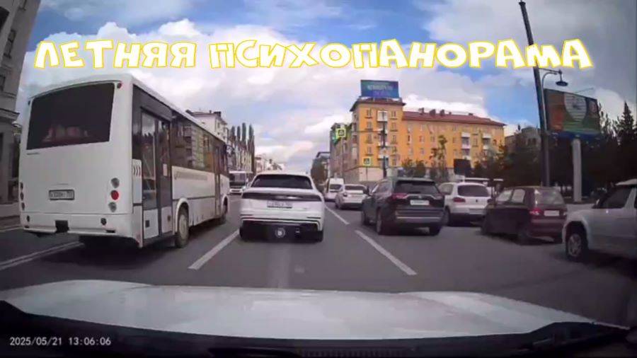 Летняя психопанорама