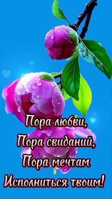 Доброе утро!
