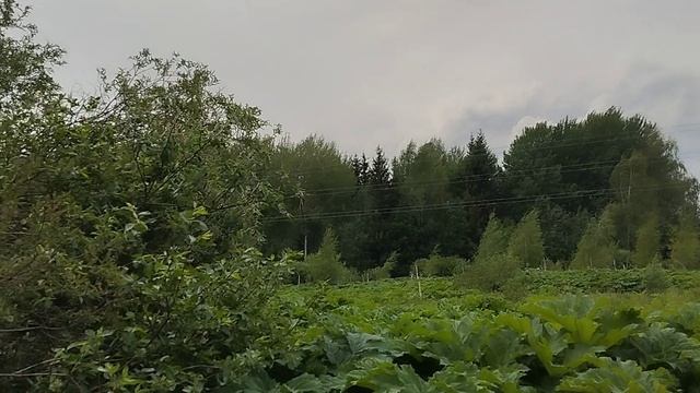 Торги на земельный участок с КН 50:04:0230101:1148