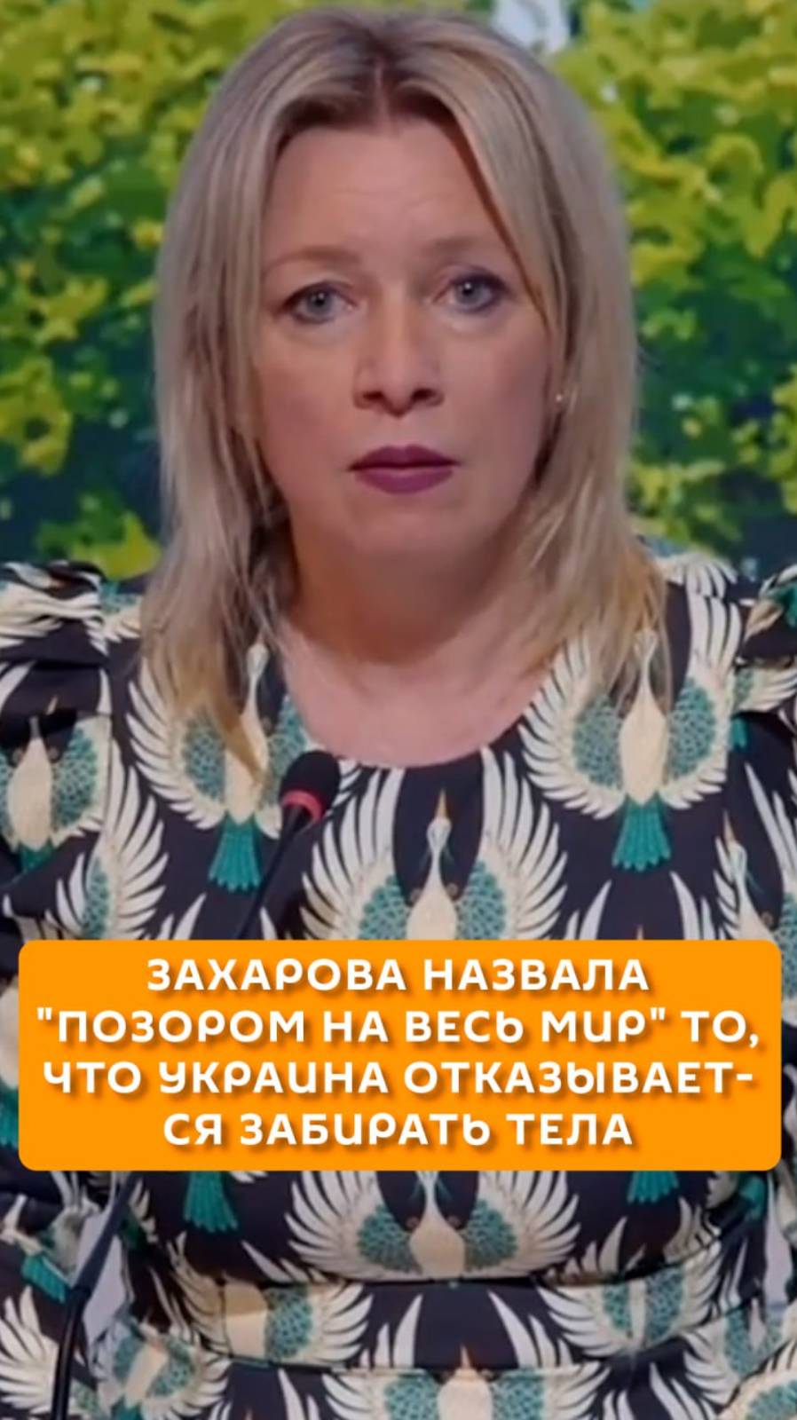 Захарова предположила, почему Украина не забирает тела