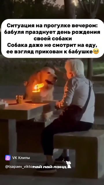 1000046471.mp4