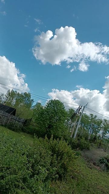 Косим траву.mp4