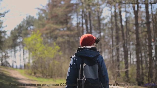 Это видео - лекарство от всех грустных дней! - Die Mit Dem Kontrabass -- Phillip Gross -- Quart