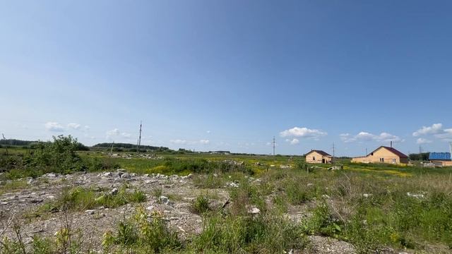 IMG_1161