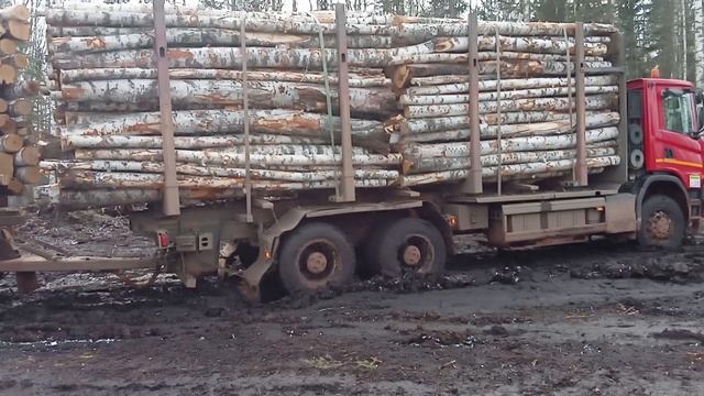 МОЯ РАБОТА НА ЛЕСОВОЗЕ