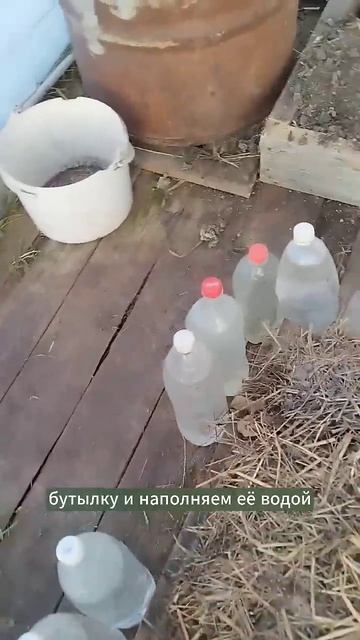 Не выбрасывайте пластиковые бутылки, весной пригодятся в теплице.
